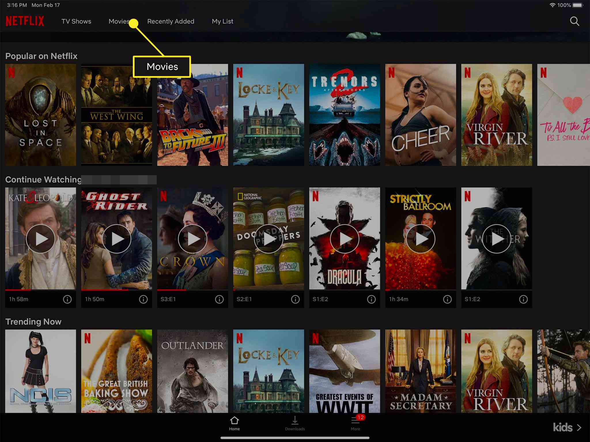 How to download netflix shows on mac
